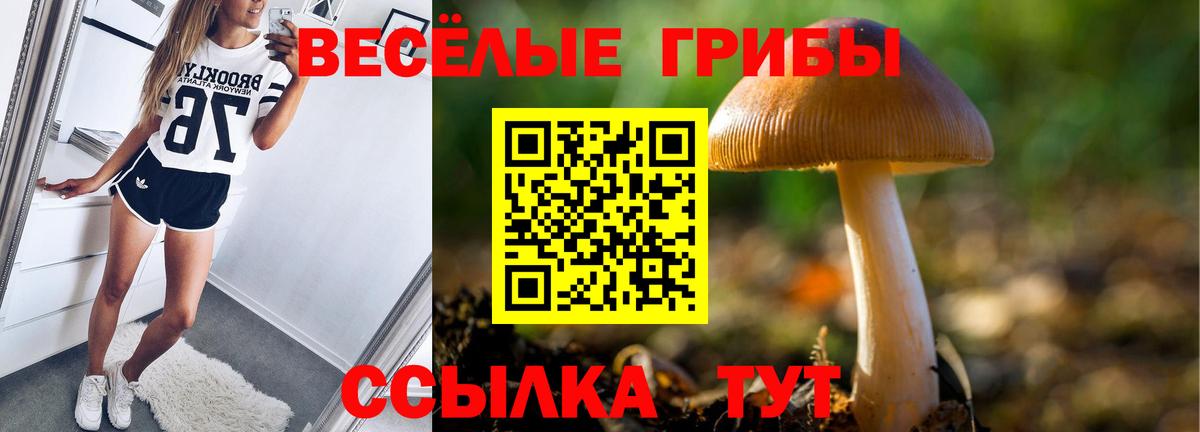 Псилоцибиновые грибы Magic Shrooms  Вход с VPN  Кимры 