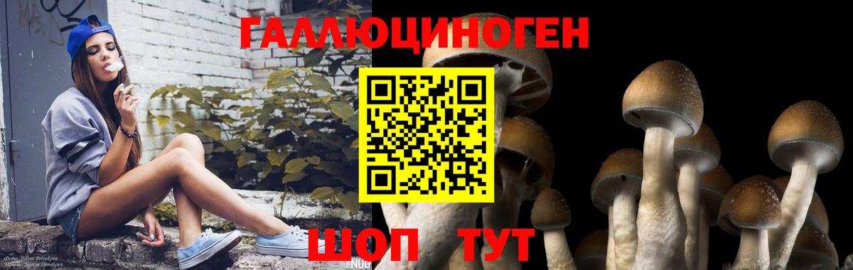Псилоцибиновые грибы мицелий Кимры