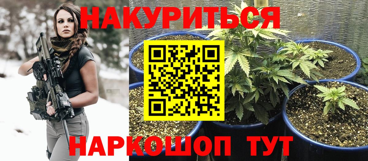 Кимры  Бошки Шишки сатива  Вход с VPN  Марихуана AK-47  Бошки Шишки планчик 